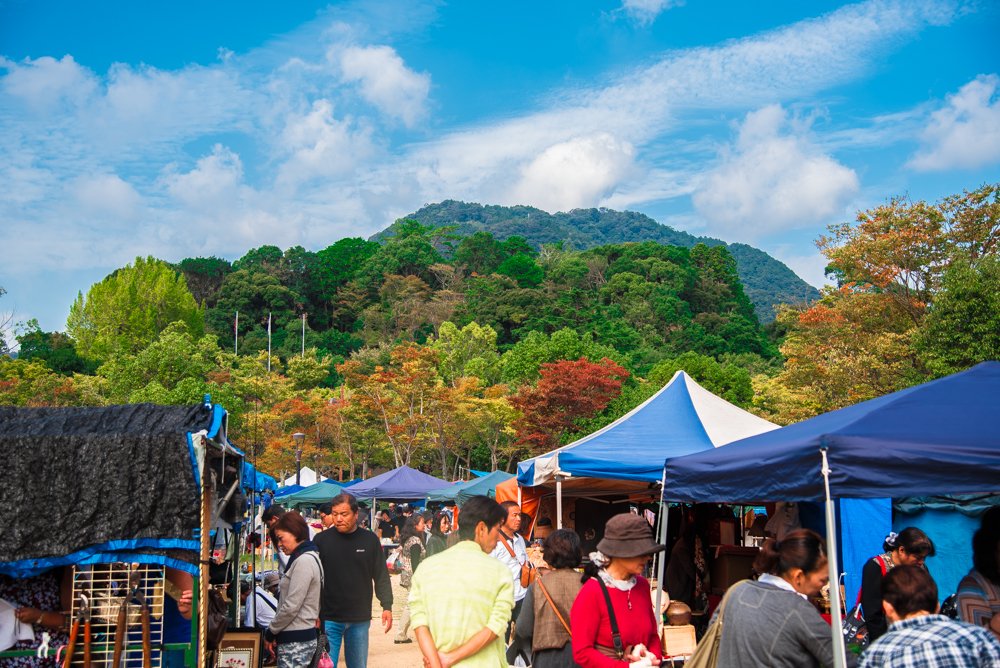🌳 가메야마 공원 산정광장(카메야마 코엔 산초 히로바) 이미지 10